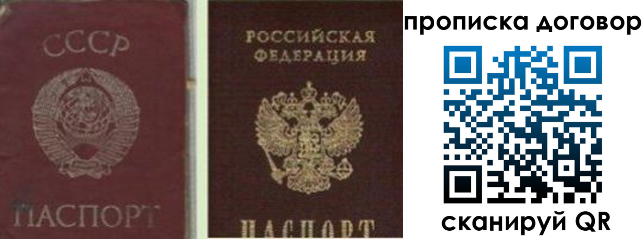 прописка гарантия в Саках